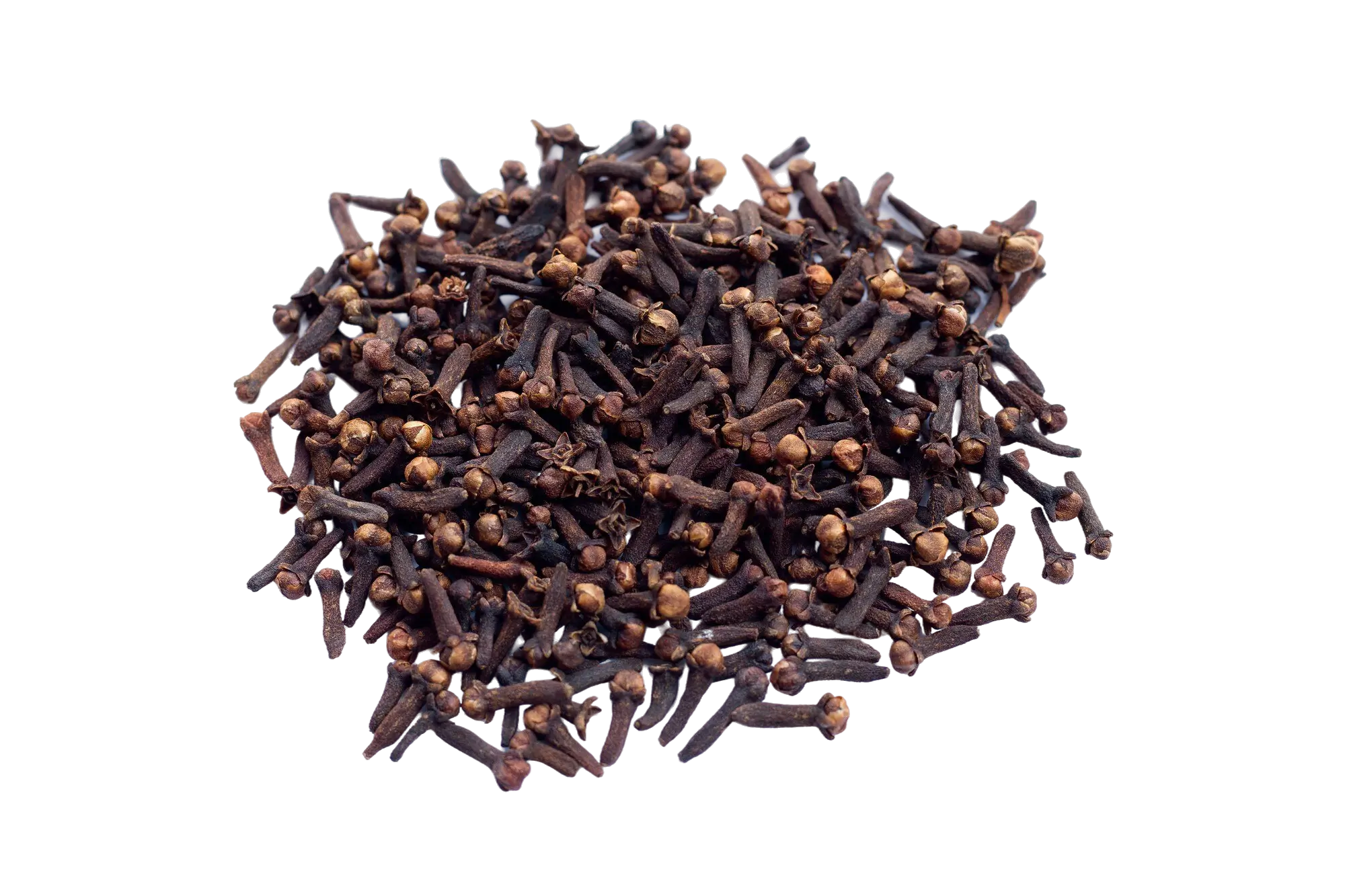 spice-dried-cloves