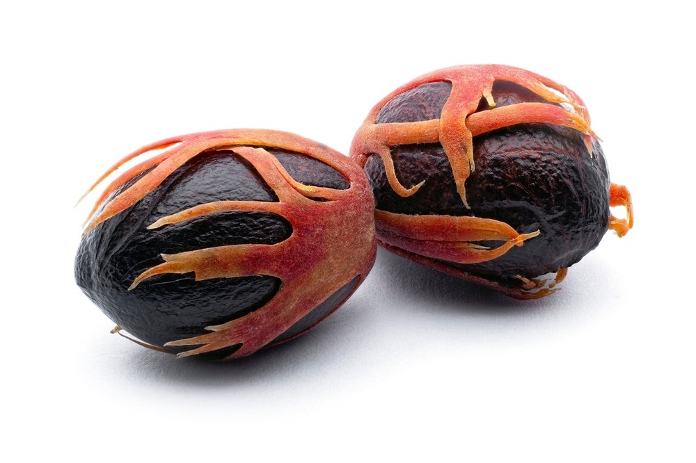 Nutmeg,(myristica,Fragrans),,Myristicaceae.,Spice,,Fresh,Nut,With,Mace.,On